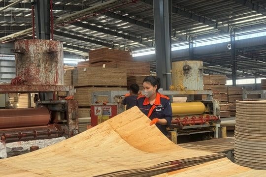 Nghịch lý ngành gỗ: Dăm xuất khẩu nhiều, chế biến sâu khát nguyên liệu