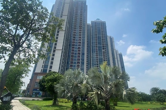 Thị trường nhà ở TP HCM và vùng phụ cận khởi sắc