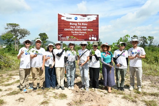 Doanh nghiệp chung tay kiến tạo mảng xanh cho thiên nhiên