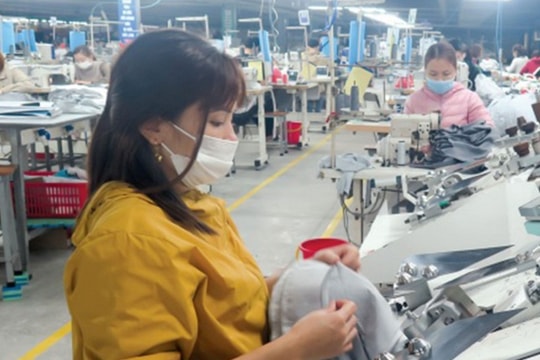 Tổ chức Đảng trong doanh nghiệp tư nhân: Điểm tựa phát triển bền vững