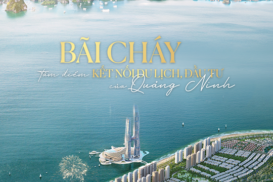 Bãi Cháy: Tâm điểm kết nối du lịch, đầu tư của Quảng Ninh