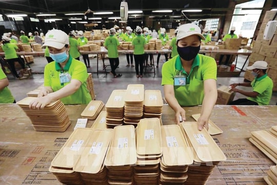 Chiến lược thích ứng với các rào cản thương mại
