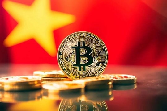 Những đại gia số Việt Nam