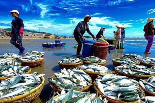 Việt Nam đề nghị Mỹ xem xét lại quyết định về 12 nghề khai thác hải sản