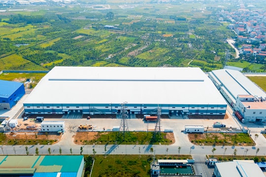 OPL Logistics lan toả cam kết xanh và hệ sinh thái toàn diện tại FWC 2025