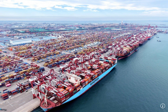 Nhiều hãng vận tải tìm cách "né" phí cảng mới của Mỹ
