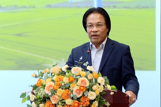 NĂNG LƯỢNG TÁI TẠO: Lấp khoảng trống pháp lý để phù hợp thực tiễn