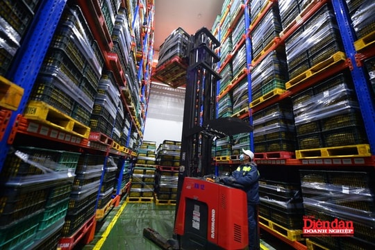 Sửa đổi Luật Đầu tư: Cần có tiêu chí rõ ràng trong hỗ trợ đầu tư