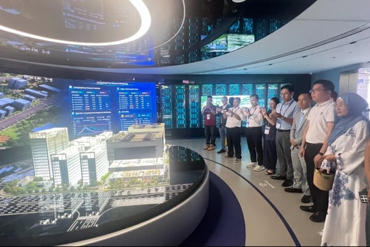 Đoàn 30 doanh nghiệp Việt Nam do VEF Global dẫn đầu tham dự CAEXPO 2025 và Hội nghị AI ASEAN – Trung Quốc