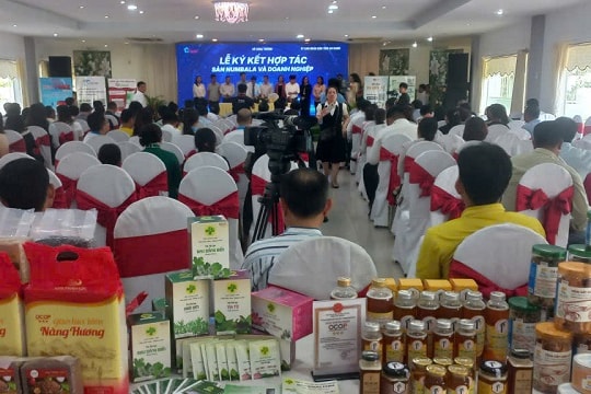 Sản phẩm OCOP An Giang hội nhập số hóa toàn diện