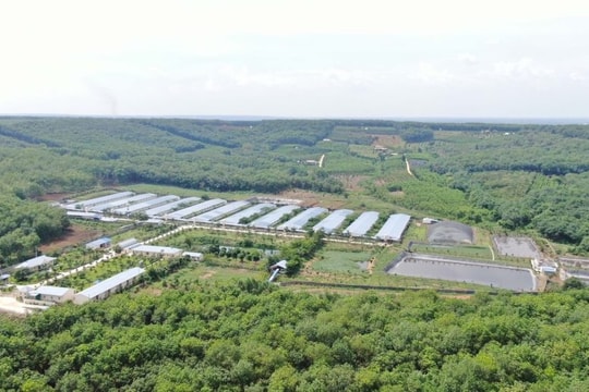 C.P. Việt Nam: Hành trình xanh vun đắp nền nông nghiệp bền vững