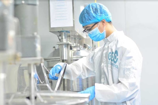 Giảm gánh nặng thuế để mở rộng cơ hội thu hút nhân tài