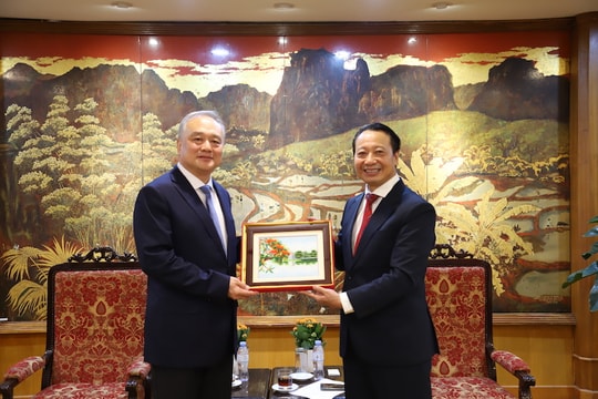 VCCI và CCPIT Sơn Đông đẩy mạnh kết nối doanh nghiệp