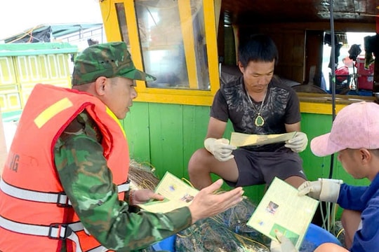Quyết tâm sớm gỡ “thẻ vàng” IUU: Mở lối cho hải sản xuất khẩu bền vững