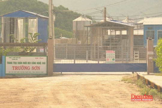 Tiếp vụ doanh nghiệp chăn nuôi tại Đà Nẵng bị tố xả thải gây ô nhiễm: Loạt vi phạm của chủ đầu tư