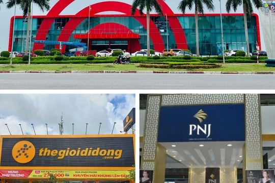 Dự báo lợi nhuận doanh nghiệp ngành bán lẻ tăng trưởng mạnh