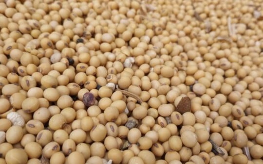 Hàng hóa nào trở thành "chủ đề nóng" trong đàm phán Mỹ-Trung?