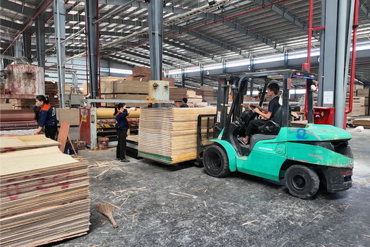 Nguồn nguyên liệu - bài toán khó đối với ngành gỗ chế biến sâu