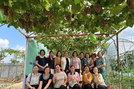 Nữ kỹ sư Nông nghiệp "thắp lửa" khởi nghiệp xanh