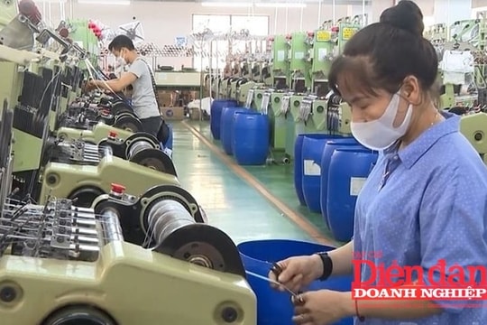 Khơi thông nguồn lực, tạo đà bứt phá cho kinh tế tư nhân Ninh Bình