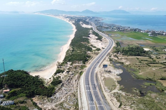 “Sếu đầu đàn” Việt và tầm nhìn chiến lược tại Khánh Hòa