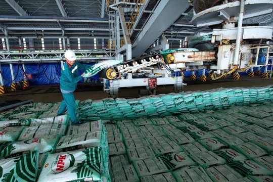 Ngày 10/9 trở thành là ngày truyền thống của Phân bón Cà Mau