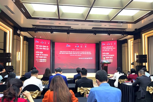 Công bố Báo cáo tổng hợp Diễn đàn Kinh tế tư nhân Việt Nam 2025