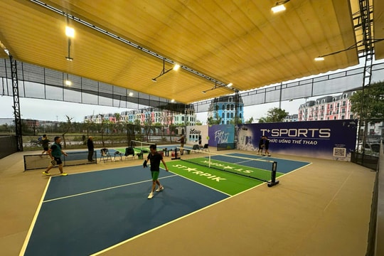 Pickleball Đồi Rồng mở rộng 2025: Giải đấu mở rộng lần đầu tiên quy tụ hàng trăm vận động viên cùng tranh đấu thi tài