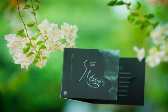 Nhạc sĩ Nguyễn Thành Trung kể chuyện tình yêu bằng âm nhạc mùa Thu