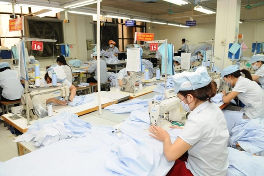Dệt may Việt Nam trước “cơ hội vàng”: Công nghiệp hỗ trợ và chuỗi cung ứng là chìa khóa