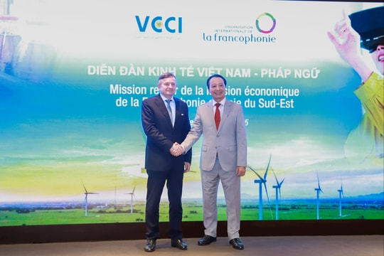 Việt Nam - Khối Pháp ngữ mở ra kỷ nguyên hợp tác toàn diện