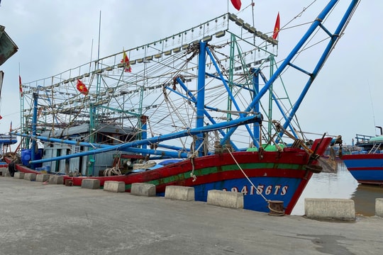 Quảng Trị: chạy nước rút gỡ “thẻ vàng” IUU