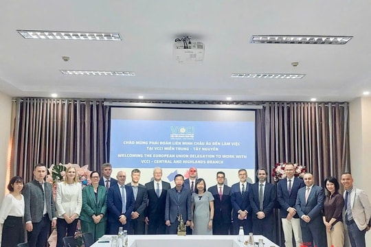 VCCI Miền Trung - Tây Nguyên làm việc với Phái đoàn Liên minh Châu Âu
