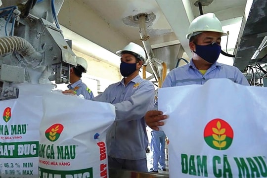 DCM hóa giải thách thức