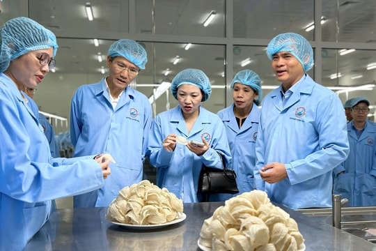 Thứ trưởng Bộ Nội vụ và Đoàn đại biểu Trung ương tham quan Nhà máy Chế biến Nguyên liệu Yến sào Sanvinest Khánh Hòa