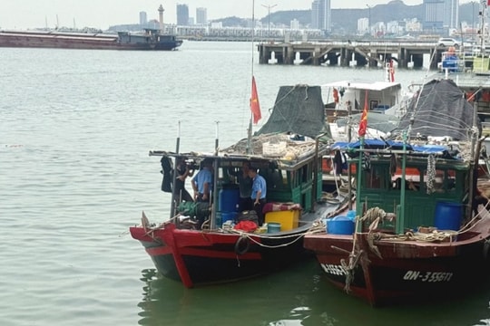 Quảng Ninh đẩy mạnh kiểm soát khai thác thủy sản