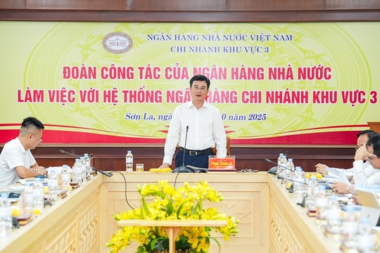 NHNN Khu vực 3 hoạt động ổn định, tổng dư nợ cho vay hơn 92.600 tỷ đồng