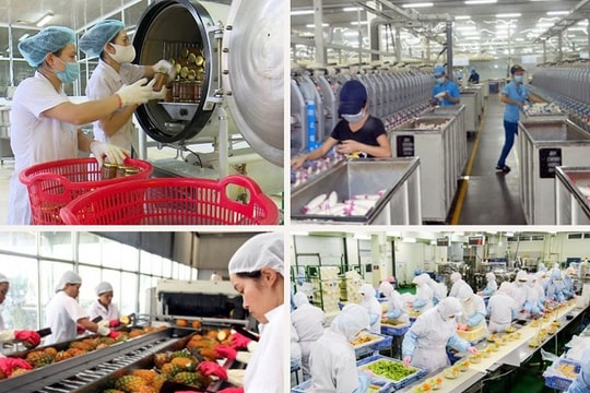 Củng cố yếu tố nền tảng cho tăng trưởng sản xuất công nghiệp