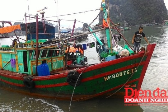 Thủ tướng chỉ đạo cương quyết “tuyên chiến” với khai thác IUU