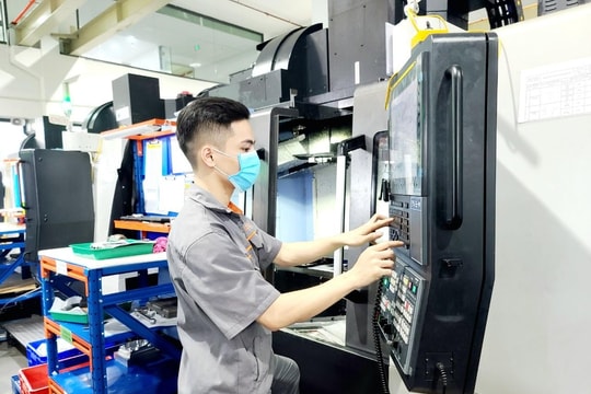 Ứng dụng AI để doanh nghiệp Việt tăng tốc chuyển đổi kép