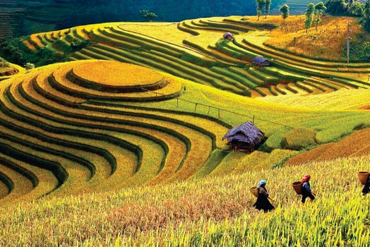 Xúc tiến quảng bá du lịch Lào Cai: Khi công nghệ số song hành cùng hợp tác