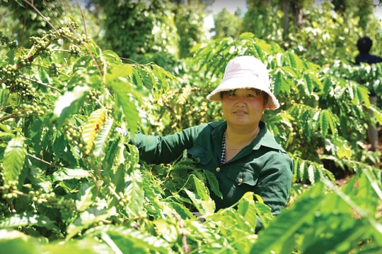 Nữ nông dân Tây Nguyên tự tin kiến tạo tương lai