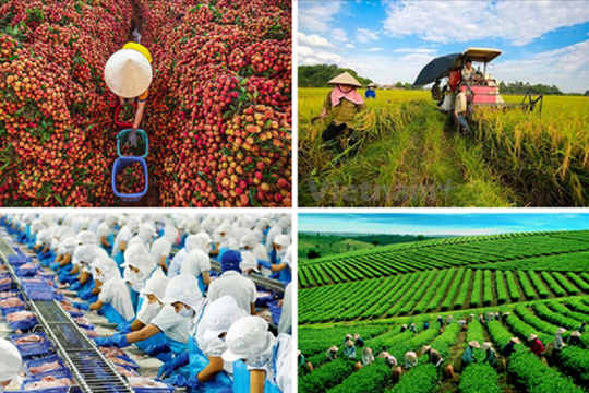 Tháo gỡ “điểm nghẽn” pháp lý trong lĩnh vực nông nghiệp và môi trường