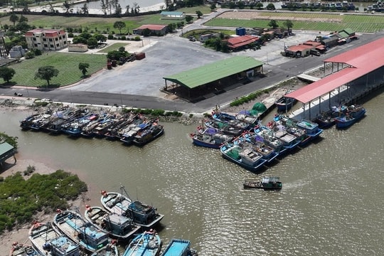 Không chỉ gỡ "Thẻ vàng" IUU , mà vì ngành thủy sản bền vững