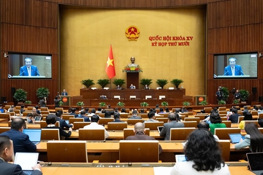 Hôm nay 25/10, trình Quốc hội Dự án Luật Sở hữu trí tuệ (sửa đổi)