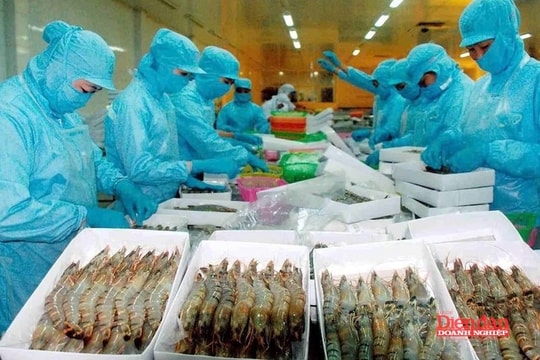 Xuất khẩu tăng tốc, doanh nghiệp vẫn căng mình trước tiêu chuẩn mới