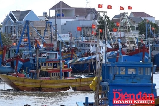 Thủy sản Việt Nam trước thời khắc quyết định gỡ thẻ vàng IUU