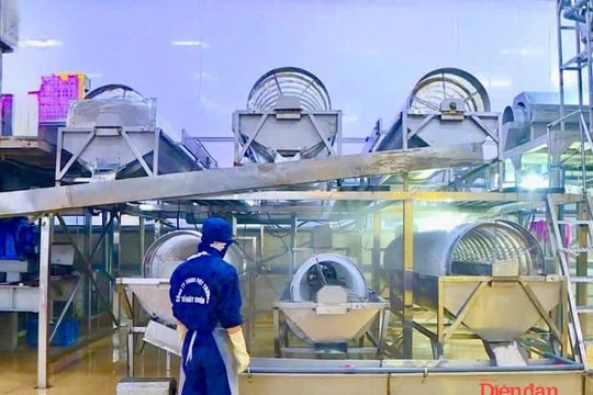 Hải Phòng đẩy mạnh công nghệ cao, để phát triển thủy sản và bảo vệ môi trường