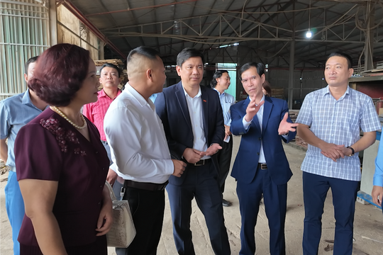 Kết nối giao thương, thúc đẩy hợp tác doanh nghiệp