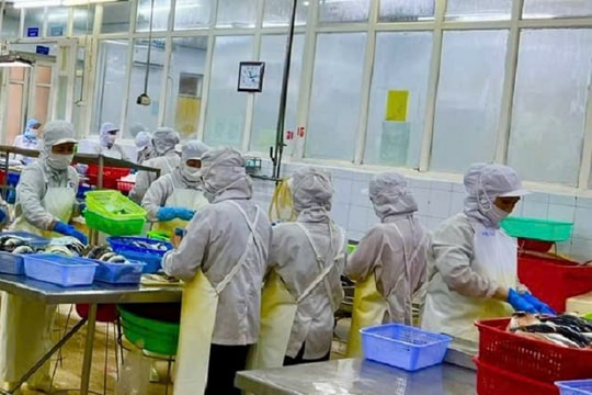 Khoa học công nghệ - đòn bẩy tạo lợi thế cạnh tranh trong hội nhập